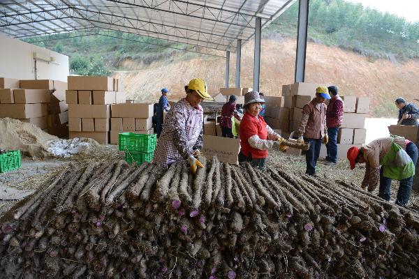 �����Ϫ����ͷ��ҵ����Ⱥ����ֲ����ɽ��ũ������