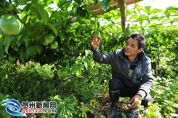 ����ƽ��ʵ��ˮ����ֵ����1��Ԫ