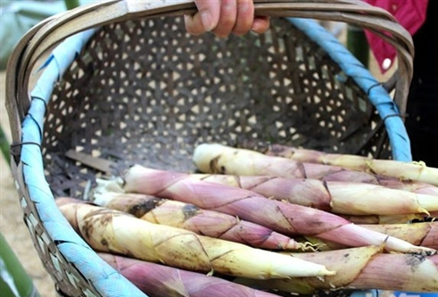 1223գÿؿĶֱ˺ÿ30׺