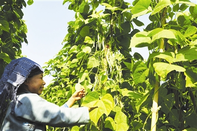 �����������ļ������� ��ũϲ����