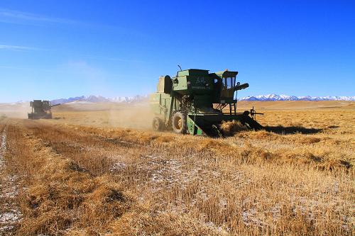 ���ࣺѩɽ�������Ͳ���