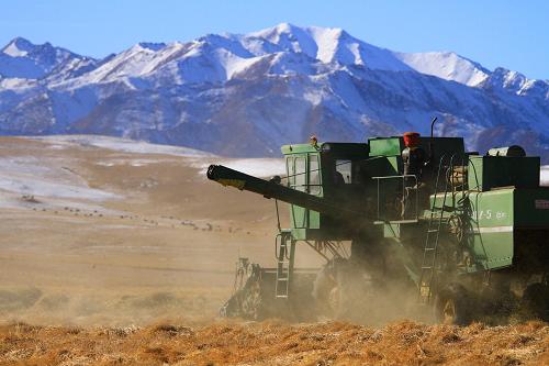 12��23�գ�����ɽ������һ��ʮ��ְ���ô��ͻ�е�ջ��Ͳ���