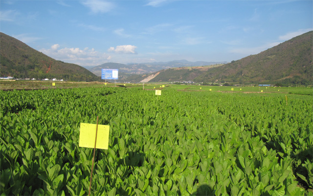 ���ϱ�ɽ���ư塰վ�ڡ��ػ�ǧĶ��������