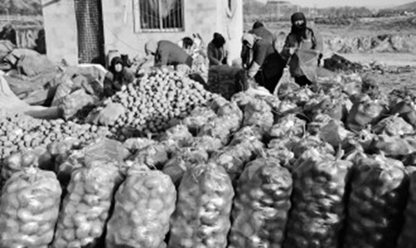 ���ඨ���������Դ���ȫ����������ҵ֪��Ʒ��ʾ����Ϊ��������������Ʒ���г���֪����