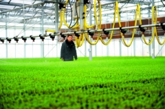 北京市59万亩高耗水作物5年内退出