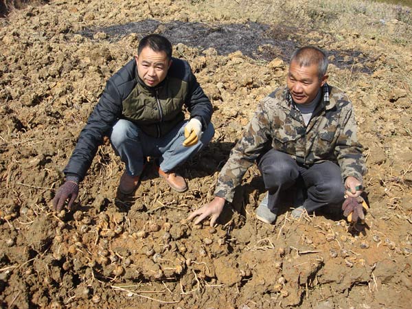 �����ֱ�����������Ķ�����볬��Ԫ