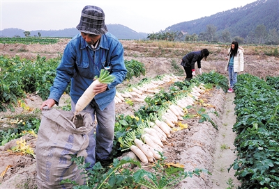 ˮþֳܲ 㶫̨ɽгܲʵŮޡ