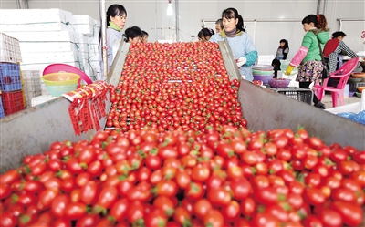 ���ϣ����ʱ��г� ��ǿƷ��ũҵ����