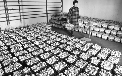 ����������ʳ�þ���ũ�����¸�·