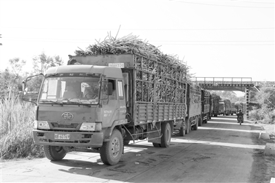 �����ӳأ������Ϊ�޳�����ɫ֧����ҵ