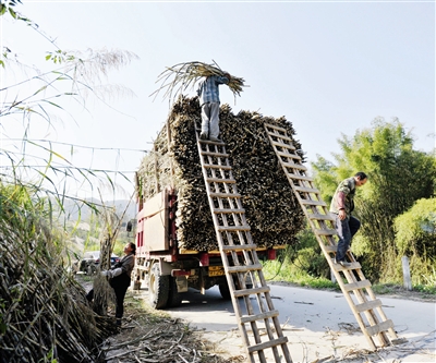 �����ӳأ����˸���æ������