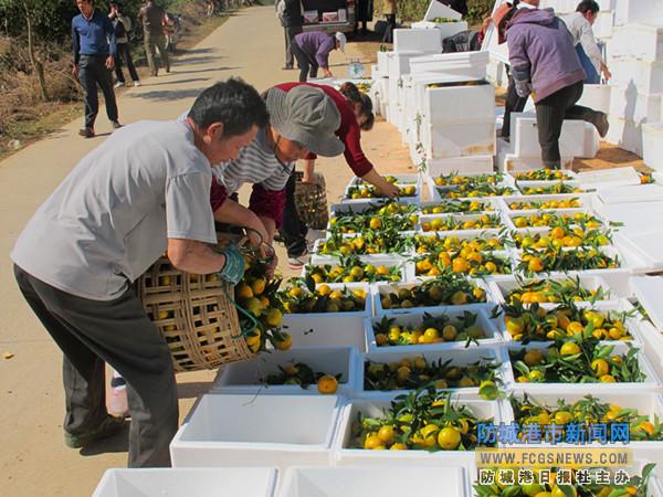 ������������·��Ļʵ۹��������ѳ�����������