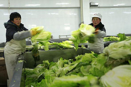 12��25�գ�����ʡ�����ػ������ݲ���ҵ��Ա����������ײ��ݽ����ճ�