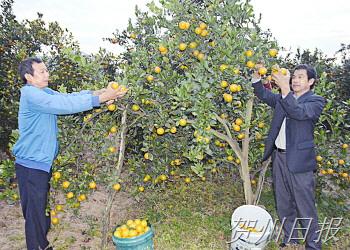 ������ɽ��ģ��ֲ��������Ʒ��