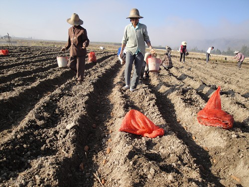 �����������ٿ�������ʽ�Ķ��������¼����ֳ���ѵ��