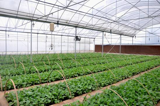 �������ϣ���ˮů�豸���߲����籣ů