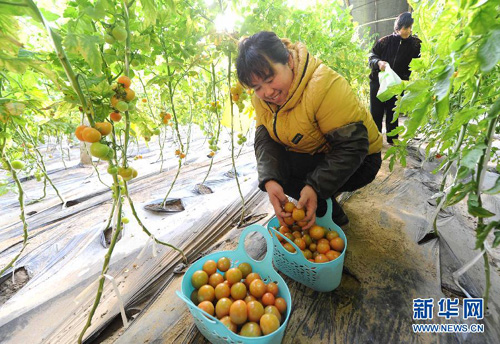 1230գӱʡغִũҵ԰ڲժӣ