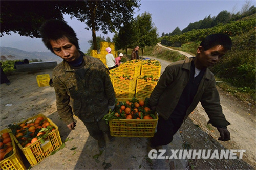 1228գʡŽĶֳ¹Ȼڰϳˡ