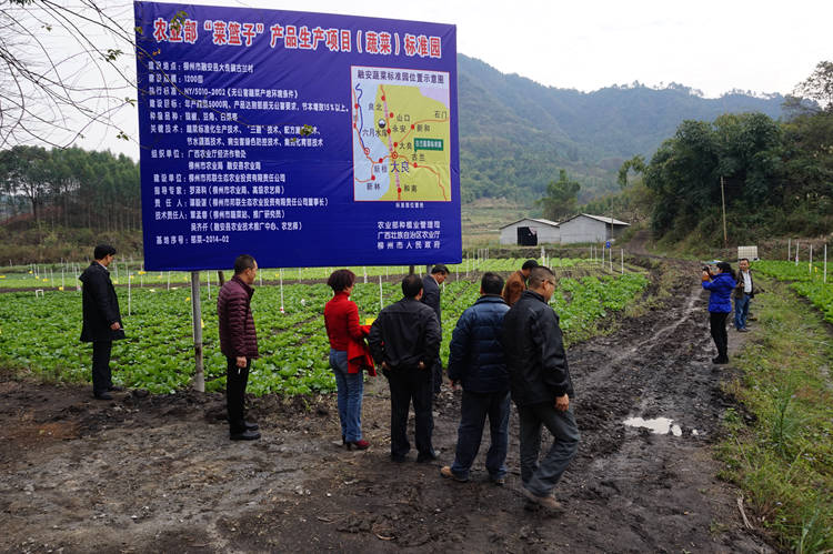 广西融安县第一个蔬菜标准化创建示范基地通过验收