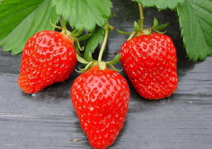 պϷʣݮաΪݮũڷ絲