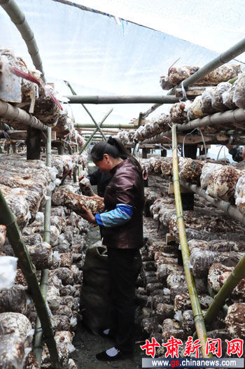 �������ط���ũ������ʳ�þ� �ؿ��¸�����·