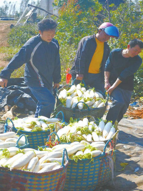 �����������ܲ��ø߼� ũ���ֿ���