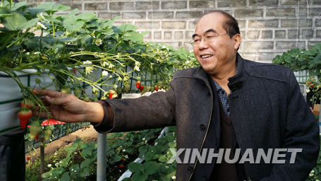 ɽ��������������ɫũҵ���Ŷ���ݮ����ũ�����¸�