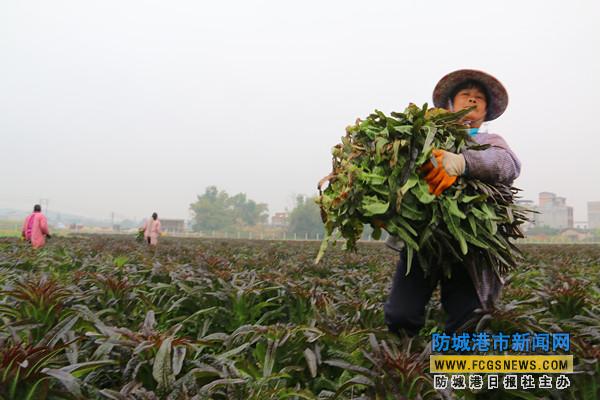 �������Ǹ��ж��ֿ������40��Ķ