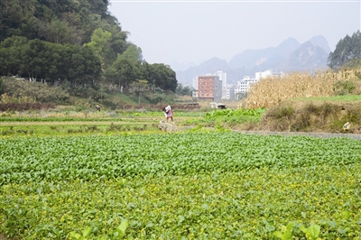 ���������������߲���ũ����