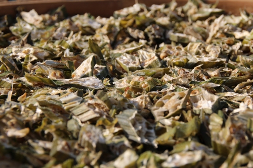 �����������������װ����