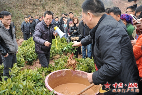 زҶ󻧺ͲҶרһѧֲ