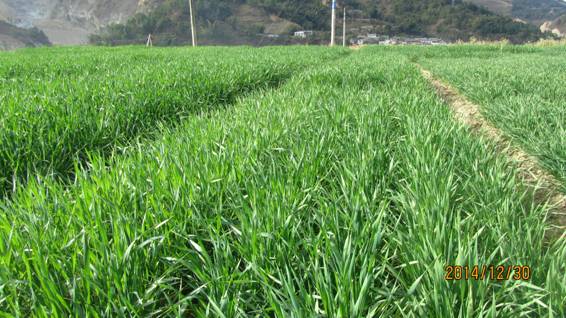 ����ʡ���ϴ�����Ʒ�����������չ����