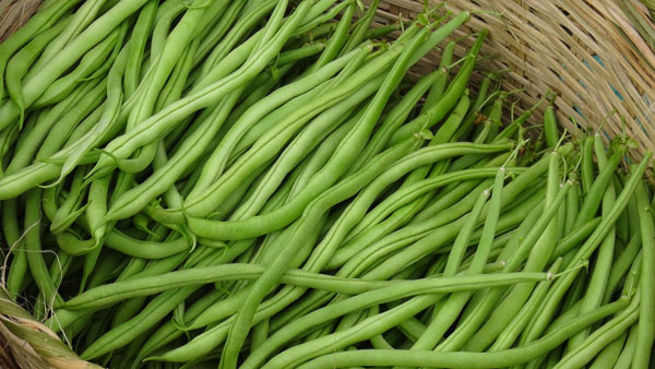 ������������Ŵ����ֲ�����޽���ٽ�ũ������3