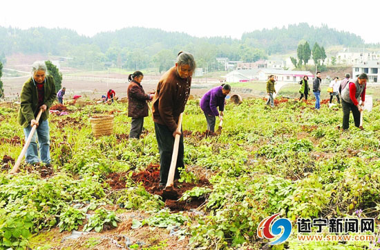 �Ĵ�����������������Ķ��ҩ�Ļ���