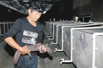 ���������㺣�����ˡ�������� �м۸ߴ�1200Ԫ/�� ��������һ��ũ��