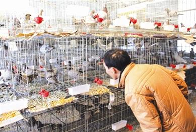 ������������ɫ��ֳ��ũ���¸�������վ��