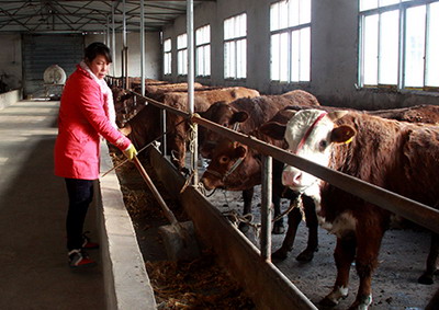 ������ع�ģ��ֳ��չ��ͷǿ��