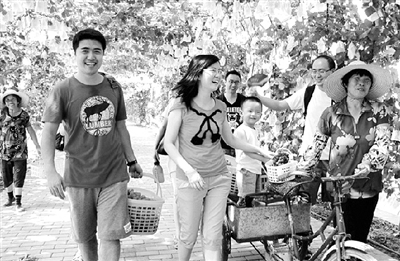 上海金山施泉葡萄做优做大做强的奥秘