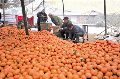 �����ɽ������ҡǮ�� ��»���ٷ��ձ���Ŀ���