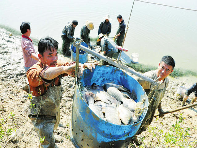 �������֣�����˻�