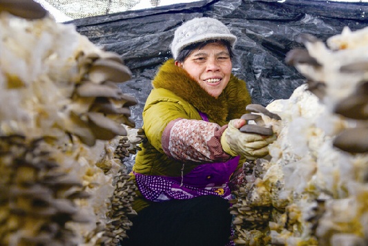 �㽭��ͩ®��������ƽ���������Ч��