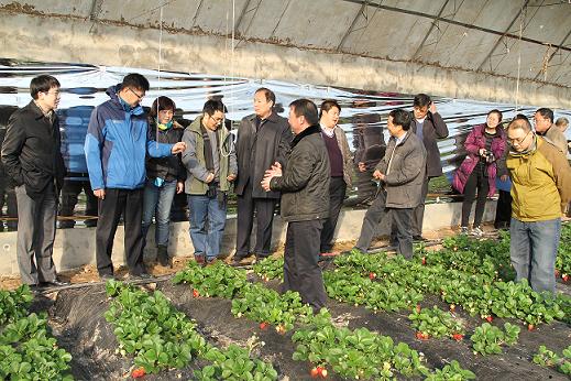 ũҵ㽭ʡ쵼Сݮ溦ɫغͳͳںϼʾ