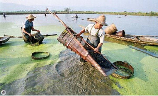 �㶫������ɳ��������ʵ��