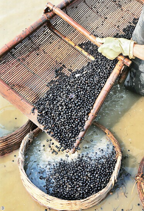 �㶫������ɳ��������ʵ��2