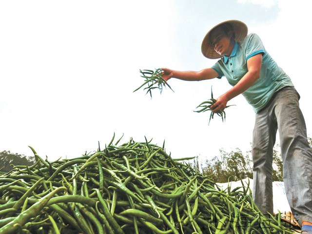 ذɳԴȪֲ߲ũֲ÷ա