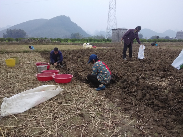 ������˷�ظ���������������