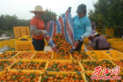 㶫лɳǽ۳ ÿȥ˽2Ԫ