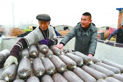 ��ľ�������ձ�����ũ���ÿ��¸���