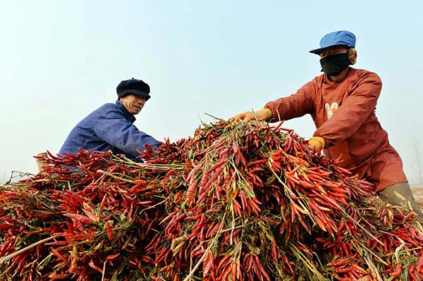 113գӱʡشׯҵ԰ũմ