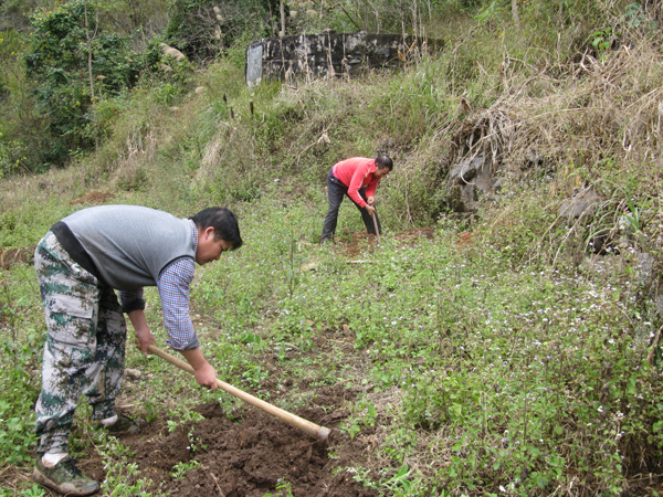 ������룺���ũ���ڿӱ��ֹ���æ